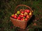 20080522201436-manzana.jpg